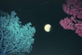 This month, may's full flower moon is more potent than ever, as a supermoon with a total lunar eclipse. Full Moon Partial Lunar Eclipse On 7 16 In Capricorn Moon Rock