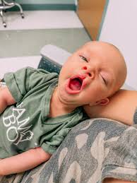 Gina Bosley's Instagram, Twitter & Facebook