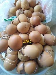 Mulai sekarang jangan buang kulit telur tersebut, kumpul dan jadikan sebagai baja organik. Jangan Buang Kulit Telur Boleh Jadi Baja Organik Suburkan Tanaman Caranya Sangai Tumbuk Tabur