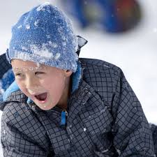 Arbutus neighborhood comes together to dig out after historic snowstorm