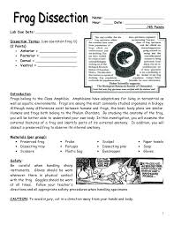 Biology Frog Dissection Lab Frog Dissection Lab Frog Dissection Frog Dissection Worksheet