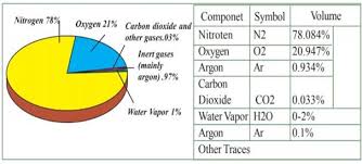 What Is Air Pollution Make A Flowchart To Describe Its