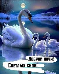 ДОБРОЕ УТРО! СПОКОЙНОЙ НОЧИ. КРАСИВЫЕ ПОЗДРАВЛЕНИЯ ДЛЯ ВАС!💌 | Facebook
