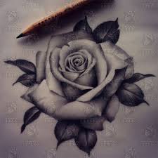 Check spelling or type a new query. Pencil Drawings Tattoo Realistic Rose Drawing Novocom Top