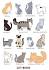 List of Cat Breeds | Petfinder