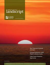 Faltýnkův diář podává svědectví o palácovém boji v ano. 2020 Summer Landscript By Gtrlc Issuu