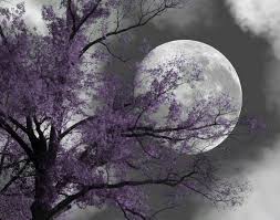 Pin By Skye Toppe On Photos Moon Wall Art Purple Trees Beautiful Moon