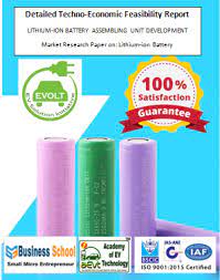 Lithium Batter Pack Assembly Techno Economic Feasibility Report