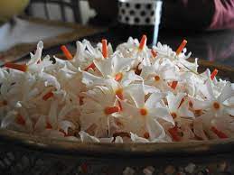 Flowers Colores Raat Ki Rani Queen Of The Night Flowers Night Flowers Beautiful Flowers Photography Wonderful Flowers