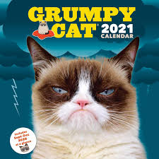 And based on jim davis' famous comic strip of the same name. 2021 Grumpy Cat Wall Calendar Grumpy Cat
