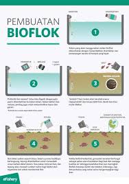 Inilah beberapa poin yang harus diperhatikan ketika memilih tempat: Pembuatan Kolam Terpal Bioflok Terpal Kolam Pasir
