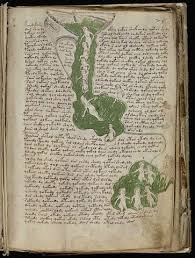 10 Of The Most Cryptic Texts In The World Voynich Manuscript Ancient Books Rare Books