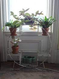 Hugedomains Com Plant Stand Indoor Plants Plant Stand