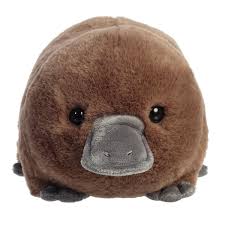 Image result for Platterpus