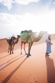 Sahara desert tours, camel treks, day trips and so much more at morocco excursions company. Pin On Marrakechdesertexperience Com