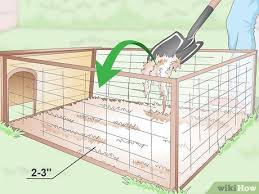 The hens cant scratch underneath them and it can drive them mad. How To Care For Silkie Chickens With Pictures Wikihow
