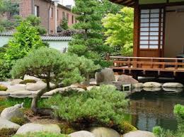 Sie sollten vor einem möglichen verheizen noch ausreichend gelagert werden, damit das holz trocknen kann. Japanischer Garten Baume