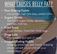 Pin On Common Visceral Fat Loss Diet Study