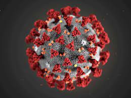Unvaccinated travellers won't be permitted into canada for quite a while: Covid 19 Update For Dec 8 Here S The Latest On Coronavirus In B C Vancouver Sun