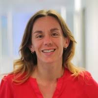 80+ perfiles de «Vigier,»