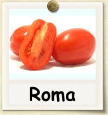 How To Grow Roma Tomato Guide To Growing Roma Tomatoes