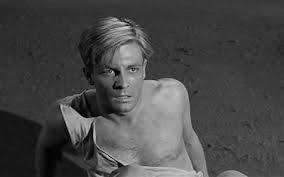 Buy movie tickets in advance, find movie times, watch trailers, read movie reviews, and more at fandango. The Incredible Shrinking Man 1957 Grant Williams Randy Stuart April Kent Paul Langton Raymond Bailey Movie Review