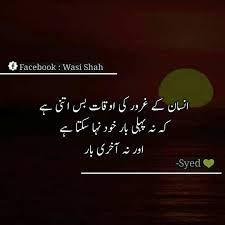 Pin On Urdu Lovers