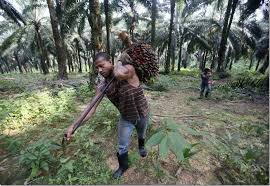 Malah s&cara tidak langsung memberi gambaran. Gadaian Terancang Tiada Lagi Estet Orang Melayu Buletinonlines Net