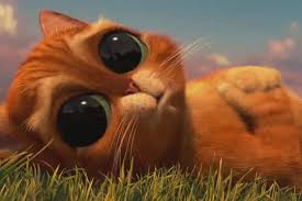 Cizmeli Kedi Cocuk Masali Izlesene Com