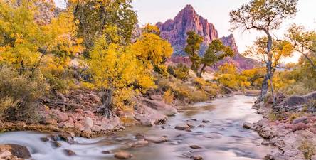 Autumn colors along Zion's Virgin River, AI generated