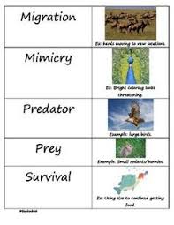 Animal S Adaptation Examples Cerca Con Google Animal Adaptations 4th Grade Science Social Studies Teacher