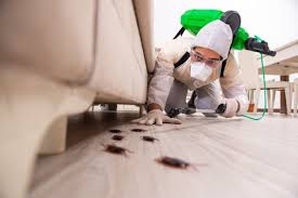 Can Termites Come Back After Treatment?