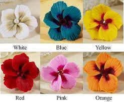Pin On Flores De Gama Eva