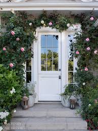 When you do prune, do so in the dormant. How To Train Climbing Roses Sanctuary Home Decor