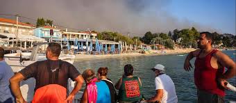 chalkidiki brand