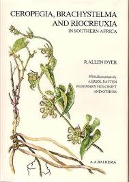 Image result for Riocreuxia