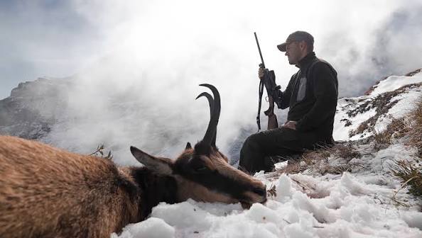 Hunting the legendary Carpathian chamois | RWS Ammunition