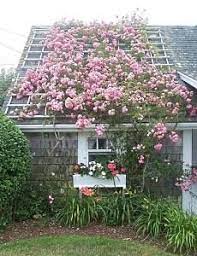 Standout Small Cabins A Smorgasbord Of Styles Cottage Garden Design Cottage Garden Rose Garden Design