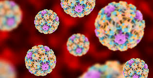 Human papillomavirus infection (hpv infection) is an infection caused by human papillomavirus (hpv), a dna virus from the papillomaviridae family. Hpv Symptoms Treatment Avert