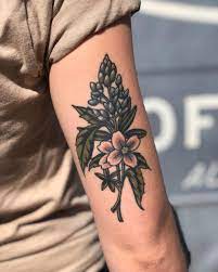 kady wilie on instagram healed in the wild thanks kaycee you re my favorite