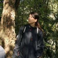 300+ perfiles de «Cecconi»