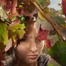 Our new Lead Projectionist Greg Abrams calibrates the brightness and colors  for superior digital cinema experiences in preparation for a packed Fall  program at the HFA! (Not to mention this weekend's upcoming