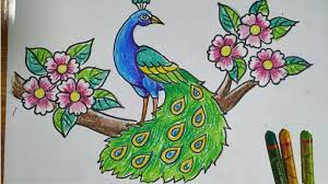 How to draw a peacock easy way step by step peacock drawing. How To Draw A Peacock Step By Step Easy Peacock Drawing For Kids How To Draw A Peacock By Oil Pastel Youtube