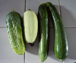 Zucchini flowers (also called zucchini blossoms) are the edible flowers of the zucchini plant. Zucchini Jami Nakamura Lin