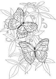 Animated wonder woman with a butterfly coloring pages. Get This Adult Coloring Pages Of Butterfly Printable 9ghj6