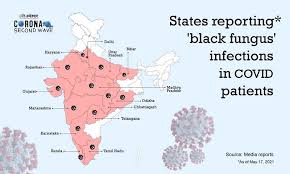 Maybe you would like to learn more about one of these? Explained First Case Of Yellow Fungus Reported From Ghaziabad Why Fungal Infections Are On The Rise Amidst Covid19 Gaonconnection Your Connection With Rural India