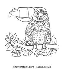 Also tucan drawing available at png transparent variant. Toucan Coloring Page Illustration Kids Adults Stock Vector Royalty Free 1185641938