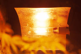 Can You Leave Grow Lights On 24 7 Expert S Recommendation