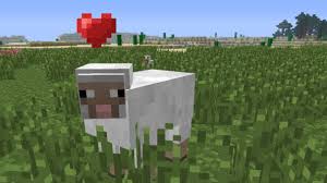 Minecraft received the small fixed focused update 2.28 version 1.17.11 for bedrock editions of the game in a release today! Minecraft Bedrock Edition Patch 1 2 11 Much Less Explosive Creepers And Sooner Rising Crops