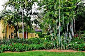 Welcome to a better landscape company. Jupiter Landscaping 561 935 7752 Jupiter Landscaping